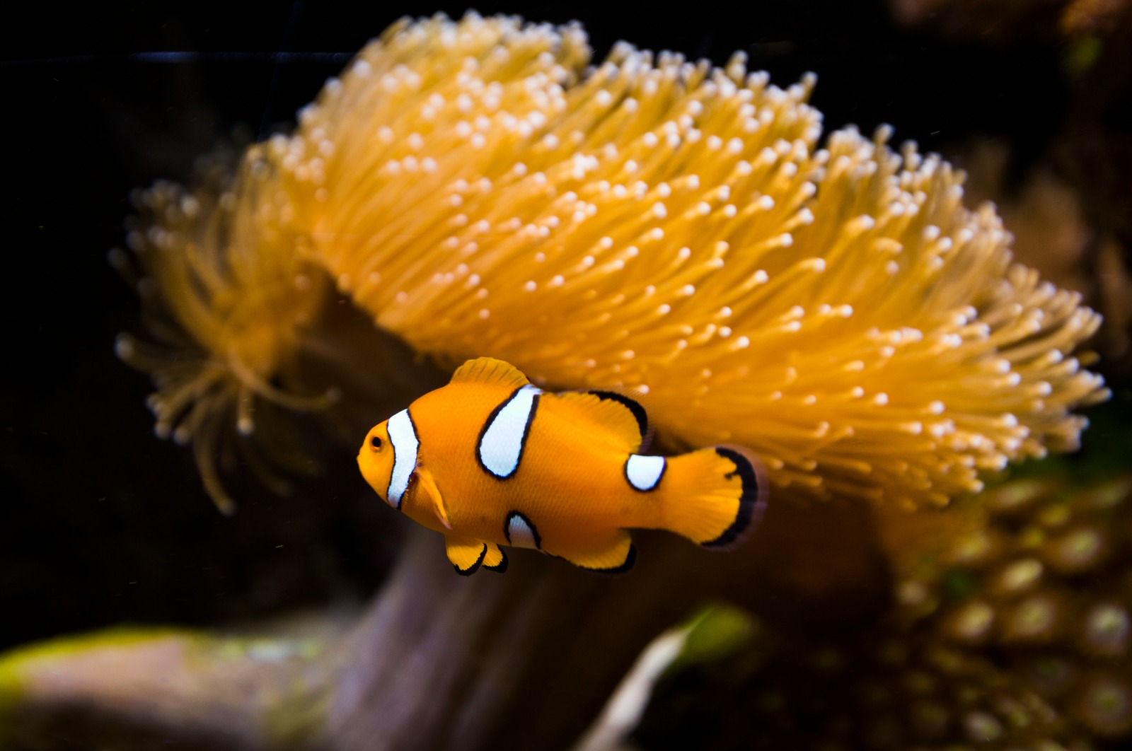 WhatsApp Image 2025-03-28 at 15.52.56 (3)